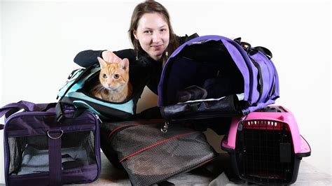 Best Cat Carriers for 2024 2024: Unbiased Review .